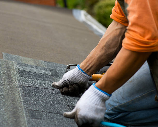 Best Roof Repair Services  in Armada, MI